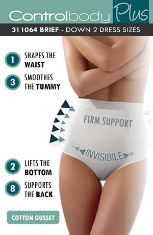 Control Body 311064 Shaping Brief