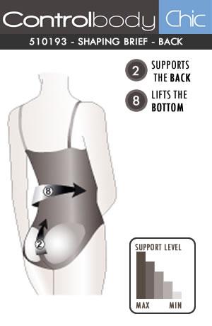 Control Body 510193Ch Body