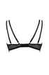 Confidante Forever Young Push Up Bra